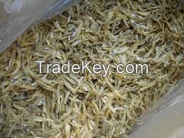 Frozen fish, shrimps, crabs and anchovies for sale