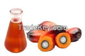 Palm Oil