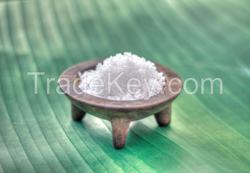 Sell Fijian Kosher Sea Salt