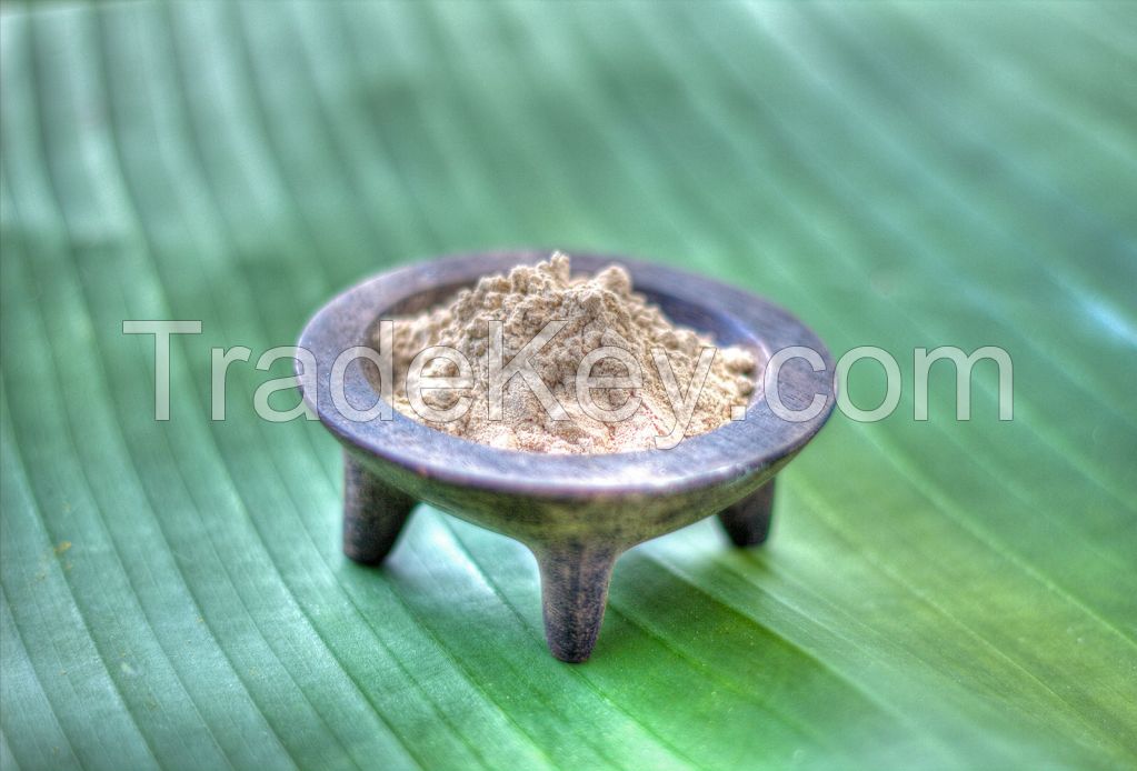 Sell Fiji Kava Powder
