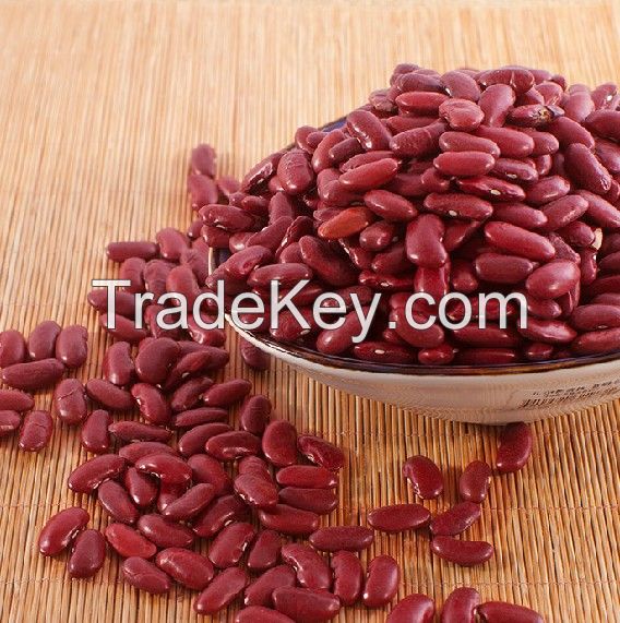 Red kidney bean with good quality best price