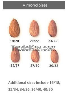 100% Organic Almonds nuts