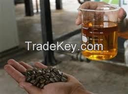 CRUDE DEGUMMED JATROPHA OIL FOR BIODIESEL PRODUCTION