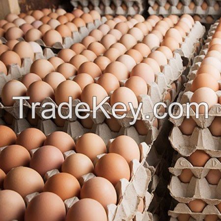 Farm fresh white and brown table (Chicken) egg