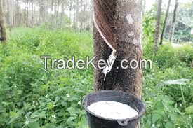 Great quality Raw Rubber for sale