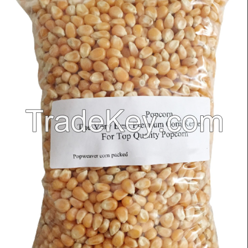 Wholesale Top Quality Mushroom and Butterfly Pop Corn Seeds Kernels