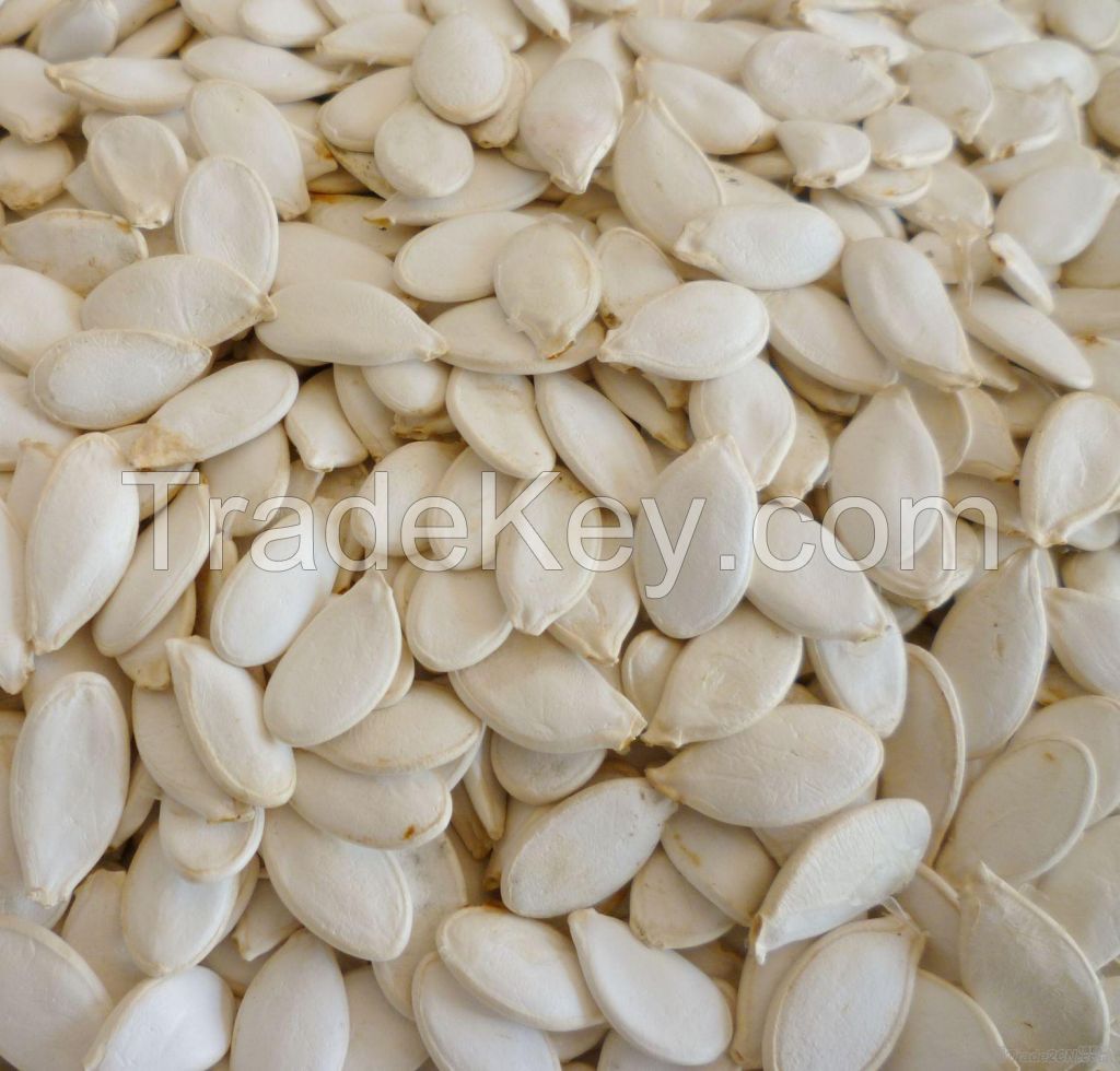 white melon seeds