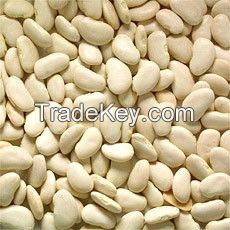 white butter beans