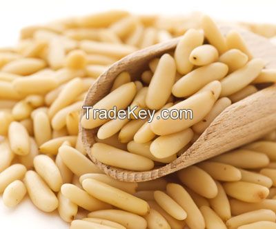 Pine Nuts Kernel