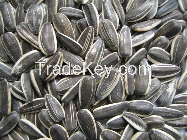 Sunflower seeds black and white