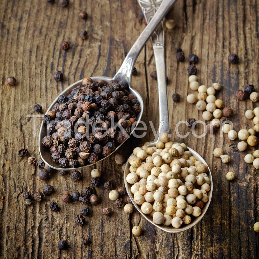 Black Pepper - Dried Black Peppercorn Seeds - Bulk, Wholesale - from South  Africa