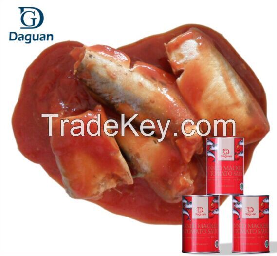 425g Canned Mackerel in Tomato Sauce Manufacturer, sardine wholeseller