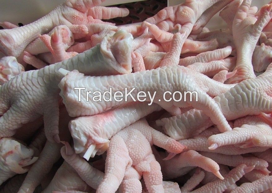 Grade A Processed Frozen Chicken Feet/Paws