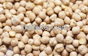 chickpeas for sale