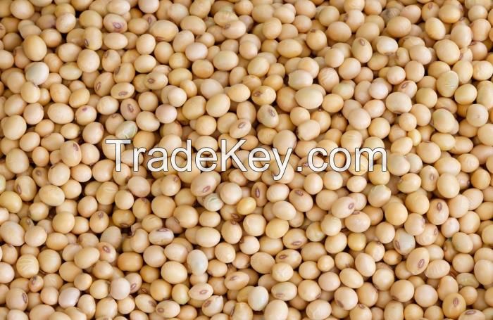 soybeans