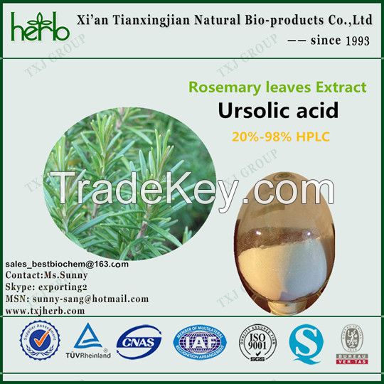 Rosemary leaves Extract Ursolic acid