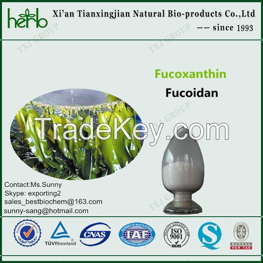 Fucoidan(Kelp Extract)