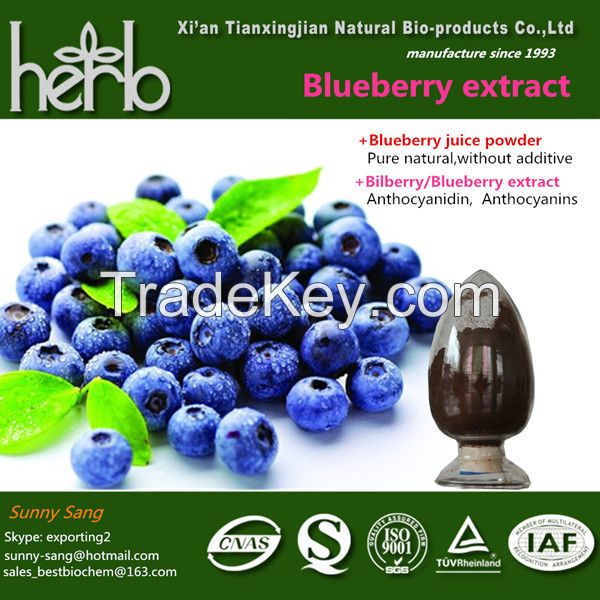 Vaccinium uliginosum Blueberry powder bilberry extract