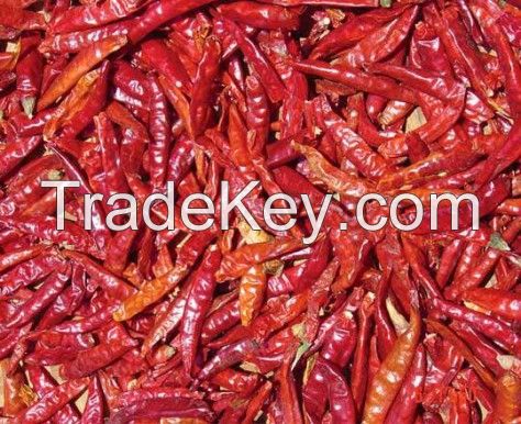 Dry Red Chilies