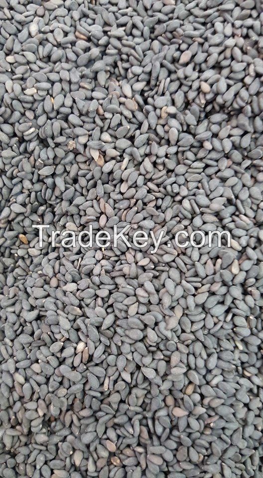 hulled White and black Sesame Seeds