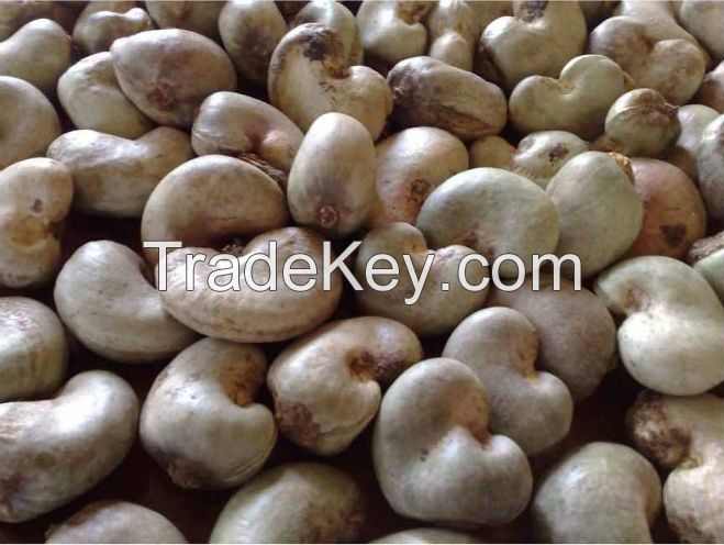 Nigerian cashew nuts