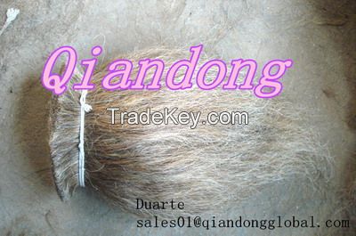 cattle tail hair for sale