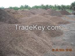 palm kernel shell