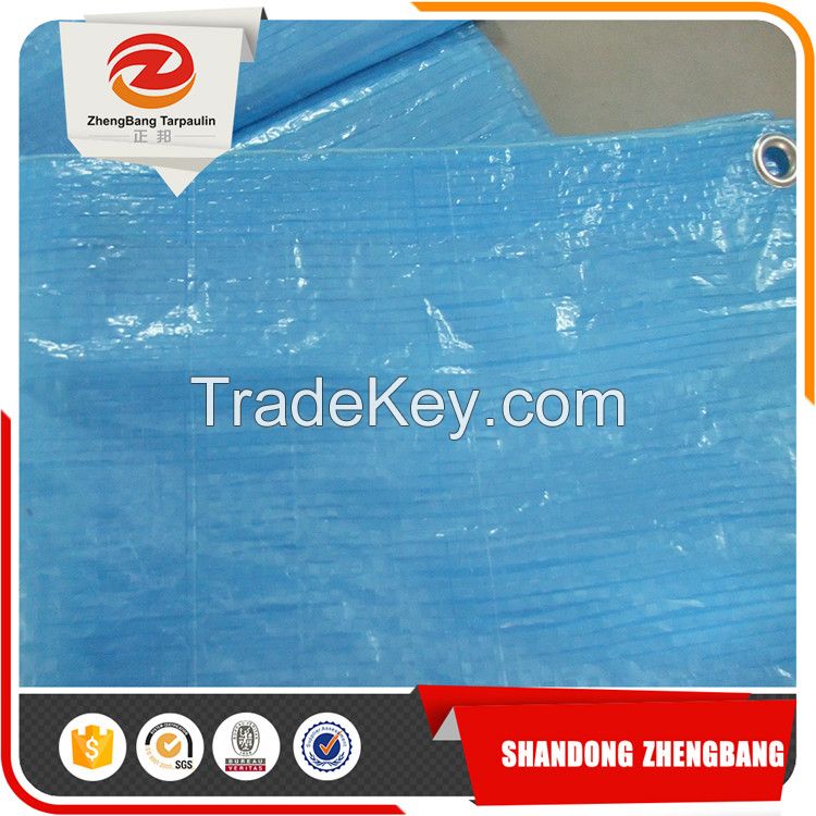 China Plastic Sheet PE tarpaulin sheet manufacturer