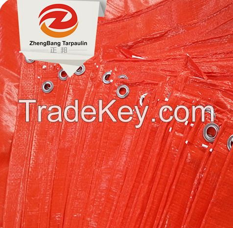 Flame Retardant Check PE Plastic Sheeting tarpaulin
