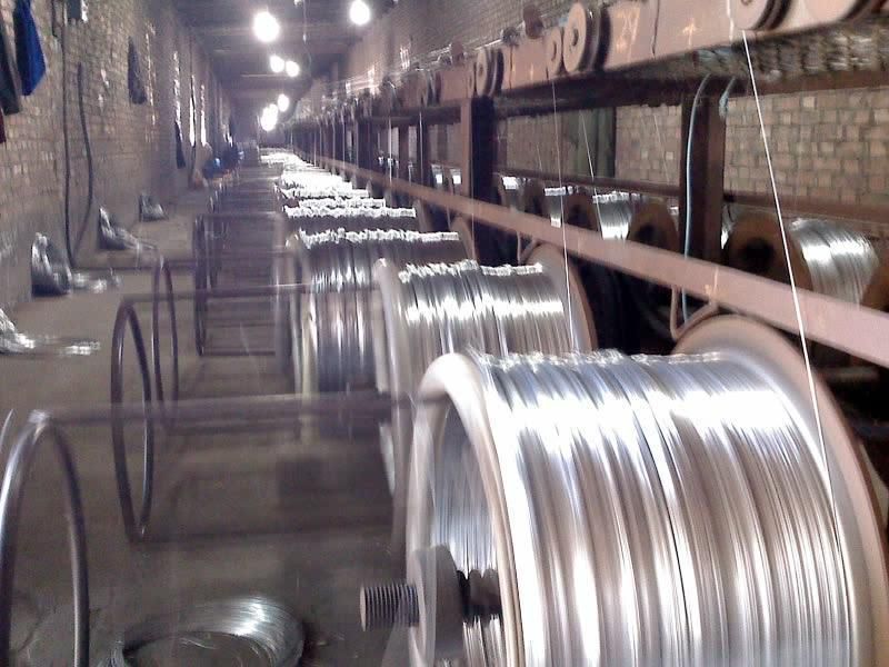 supply iron wire and wire mesh