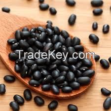 Black Beans or Michgun Beans