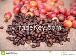 Raw arabica coffee beans power coffee for men