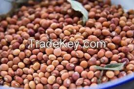 Pigeon Peas