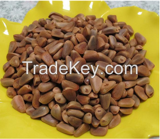 Sell Pine Nuts