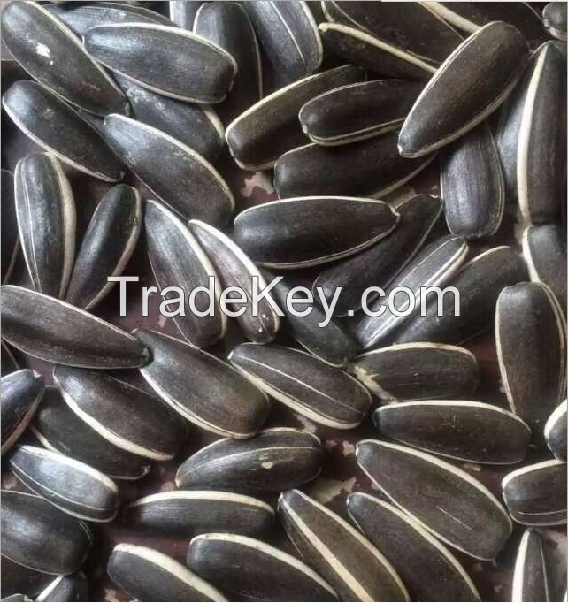 Sell Sunflower Seeds