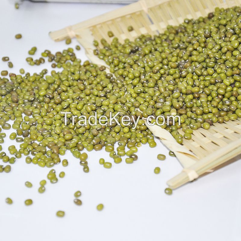 green mung beans