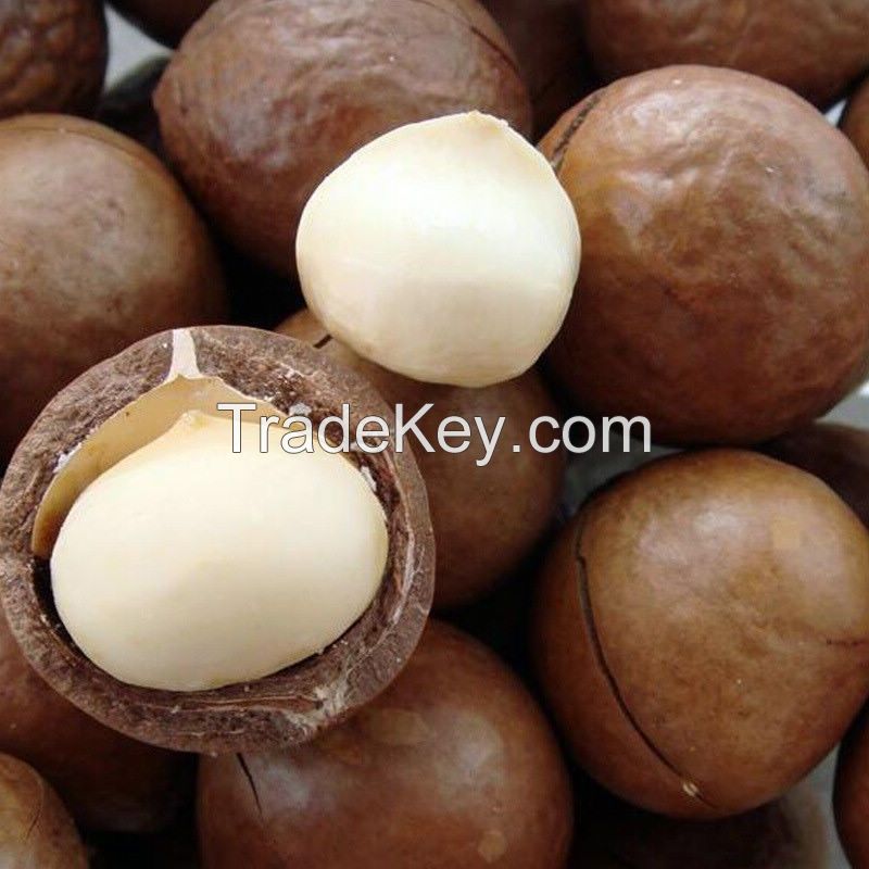 macadamia nuts