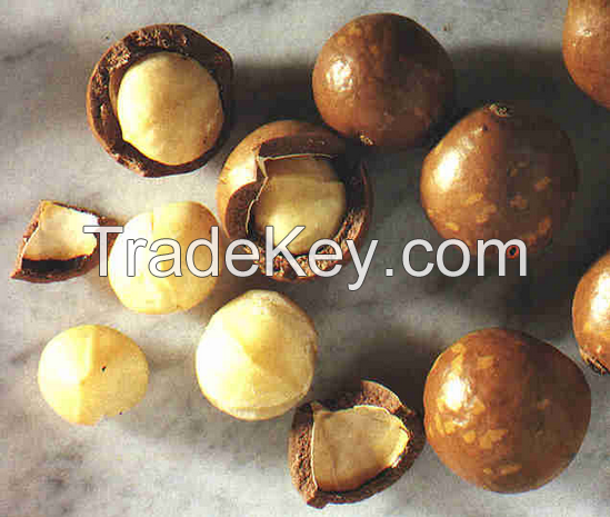 Sell Macadamia nuts