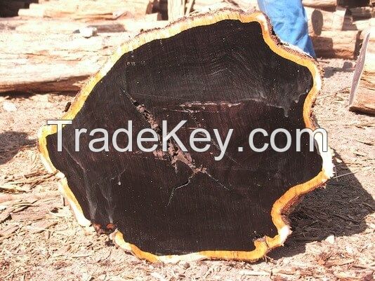 Black wood Ebony logs for sale