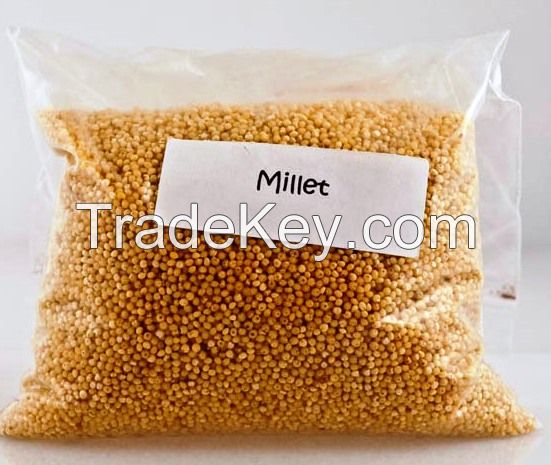Oats, Buckwheat, Rye, Wheat, Sorghum, millet, raisin, Raisins Seedless, Safflower seeds