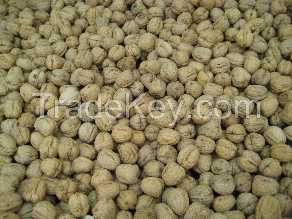 bulk dried walnuts with thin shell, walnut kernels for sale