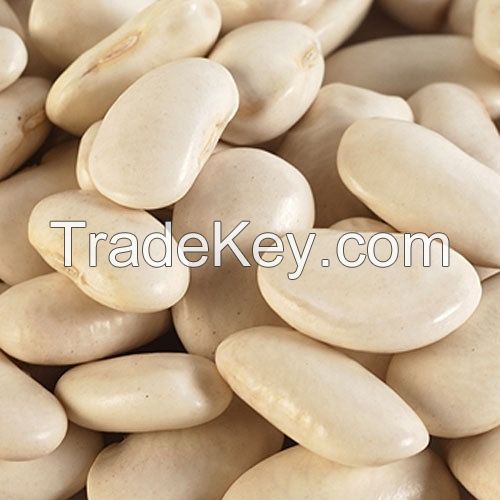 Quality Butter Beans for Sale