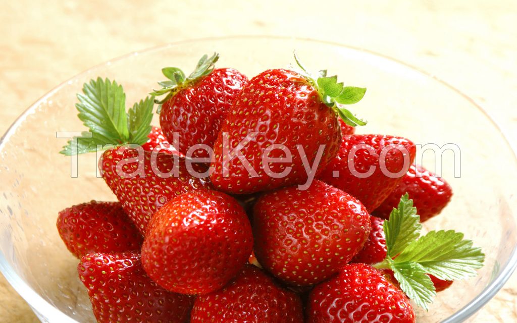 Fresh StrawBerry