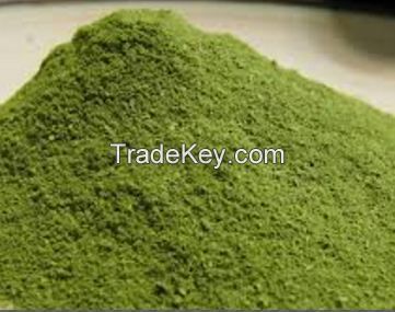 Moringa Tea, Moringa Capsules, Moringa Powder, Moringa Leaf Powder