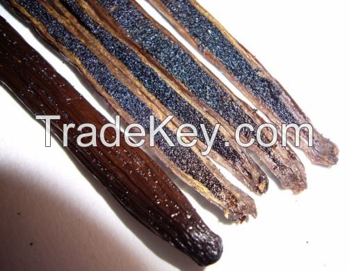 VANILLA SEEDS