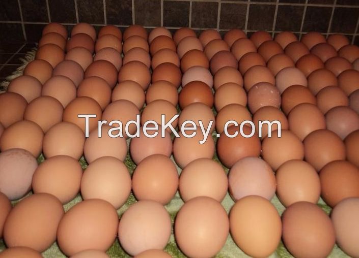 Fresh White And Brown eggs