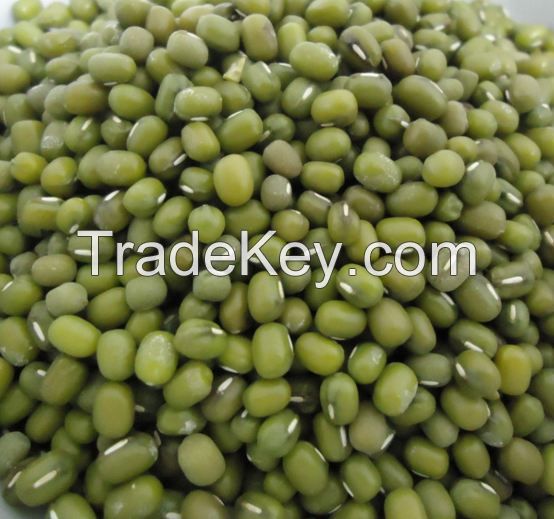 Green Mung Beans