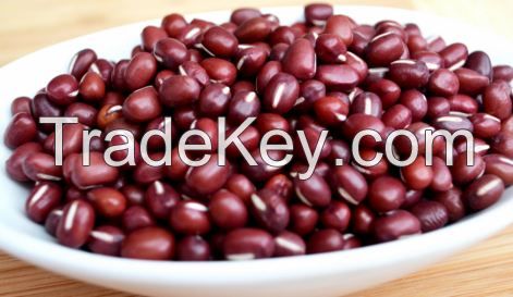 Adzuki Beans