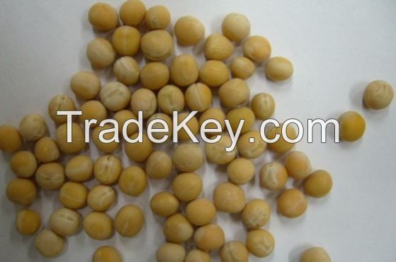 Whole Yellow Peas