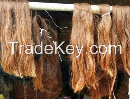 Cattle Tail Hair /  Horse Tail Hairs